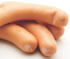 Jumbo Hot Dogs
