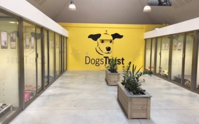 Dog Trust & Kent Greyhound Rescue Donations